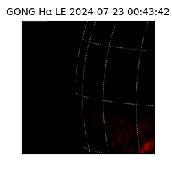 gong - 2024-07-23T00:43:42