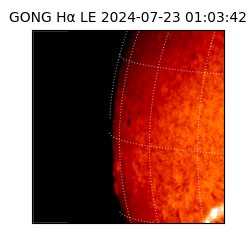 gong - 2024-07-23T01:03:42