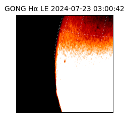 gong - 2024-07-23T03:00:42