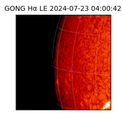 gong - 2024-07-23T04:00:42