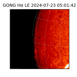 gong - 2024-07-23T05:01:42