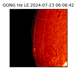 gong - 2024-07-23T06:06:42