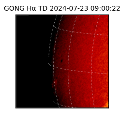 gong - 2024-07-23T09:00:22