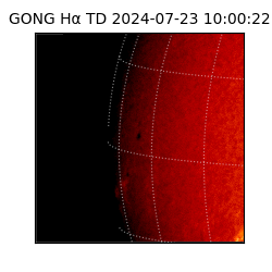 gong - 2024-07-23T10:00:22