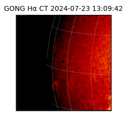 gong - 2024-07-23T13:09:42