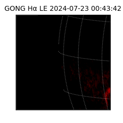 gong - 2024-07-23T00:43:42