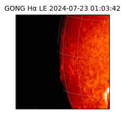 gong - 2024-07-23T01:03:42