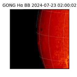 gong - 2024-07-23T02:00:02