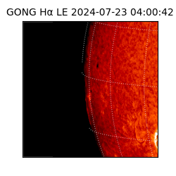 gong - 2024-07-23T04:00:42