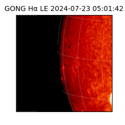 gong - 2024-07-23T05:01:42