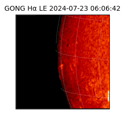 gong - 2024-07-23T06:06:42