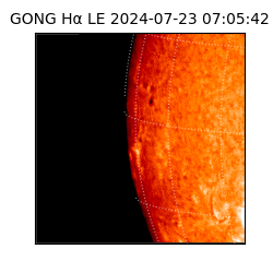 gong - 2024-07-23T07:05:42