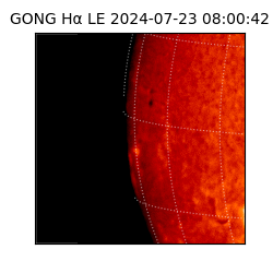 gong - 2024-07-23T08:00:42