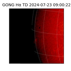 gong - 2024-07-23T09:00:22