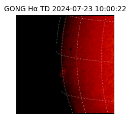 gong - 2024-07-23T10:00:22