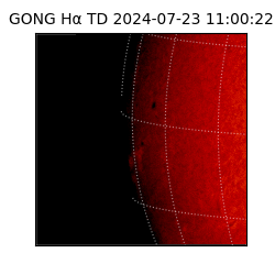 gong - 2024-07-23T11:00:22