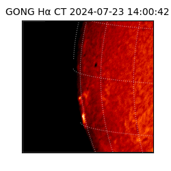 gong - 2024-07-23T14:00:42