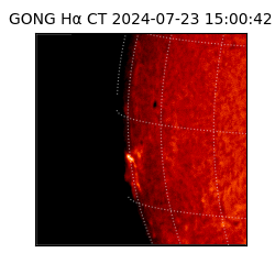 gong - 2024-07-23T15:00:42