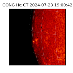 gong - 2024-07-23T19:00:42