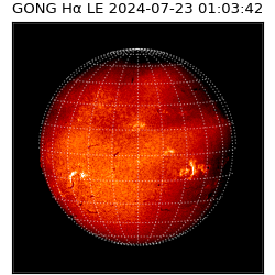 gong - 2024-07-23T01:03:42