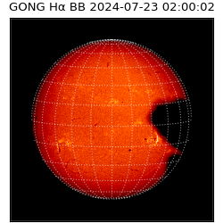 gong - 2024-07-23T02:00:02