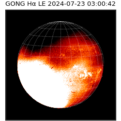 gong - 2024-07-23T03:00:42