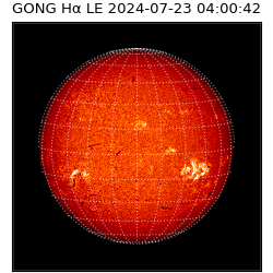 gong - 2024-07-23T04:00:42