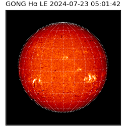 gong - 2024-07-23T05:01:42