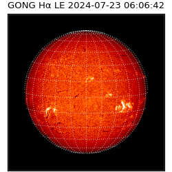 gong - 2024-07-23T06:06:42