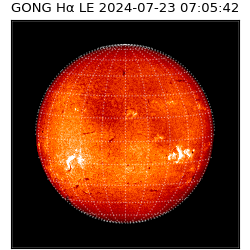 gong - 2024-07-23T07:05:42