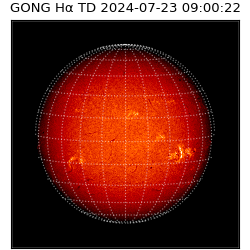 gong - 2024-07-23T09:00:22