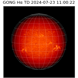 gong - 2024-07-23T11:00:22