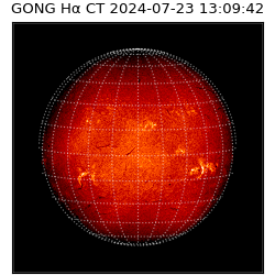 gong - 2024-07-23T13:09:42