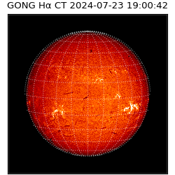 gong - 2024-07-23T19:00:42