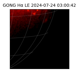 gong - 2024-07-24T03:00:42