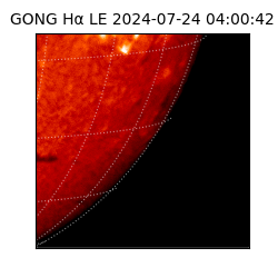 gong - 2024-07-24T04:00:42