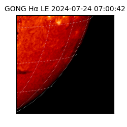 gong - 2024-07-24T07:00:42