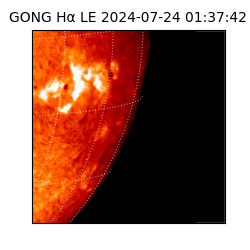 gong - 2024-07-24T01:37:42