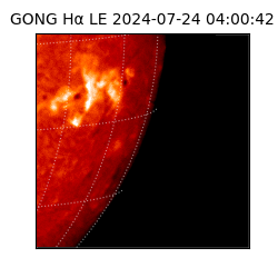 gong - 2024-07-24T04:00:42