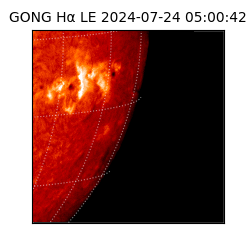 gong - 2024-07-24T05:00:42