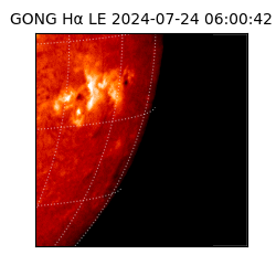 gong - 2024-07-24T06:00:42