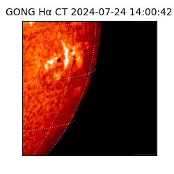 gong - 2024-07-24T14:00:42