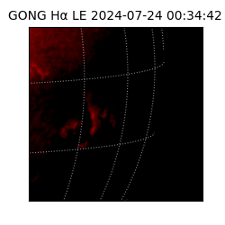 gong - 2024-07-24T00:34:42