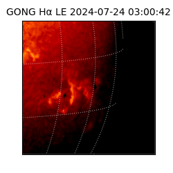 gong - 2024-07-24T03:00:42