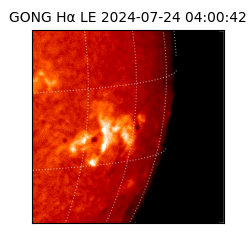 gong - 2024-07-24T04:00:42