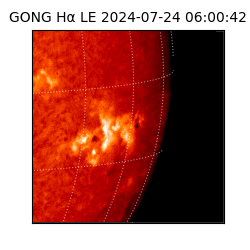 gong - 2024-07-24T06:00:42