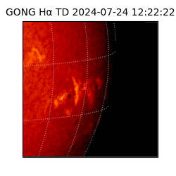 gong - 2024-07-24T12:22:22