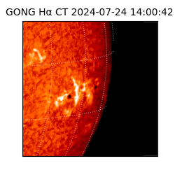 gong - 2024-07-24T14:00:42