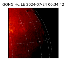 gong - 2024-07-24T00:34:42