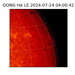 gong - 2024-07-24T04:00:42